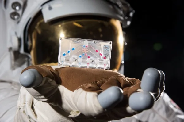 Тканинні чипи дослідження NASA топ 10 відкриттів