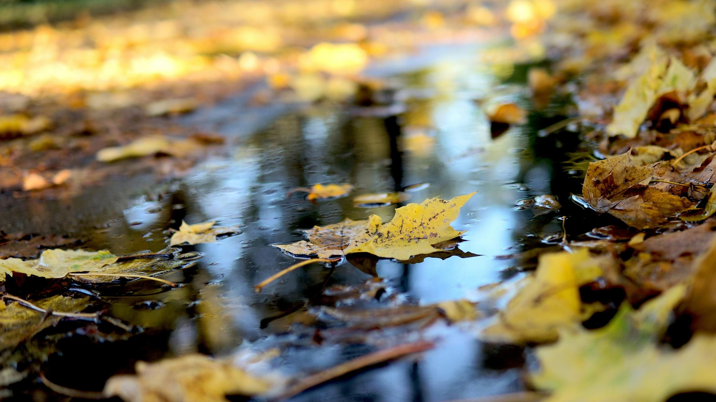 В Україні очікуються дощі В Україні очікуються дощі