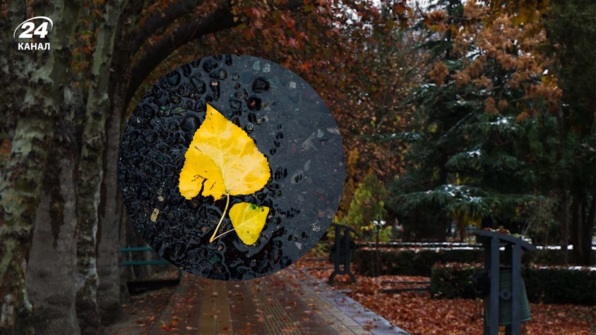 Погода - 24 Канал Погода - 24 Канал