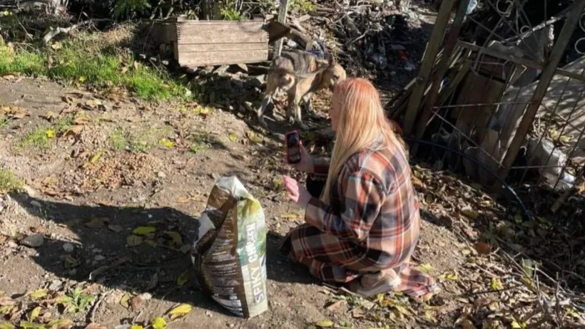 Елена Полинина кормит собак Елена Полинина кормит собак