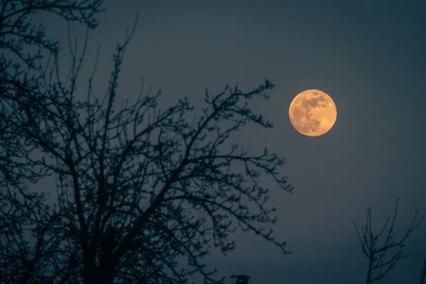 Повня у листопаді: значення Бобрової повні та цікаві факти Повня у листопаді: значення Бобрової повні та цікаві факти