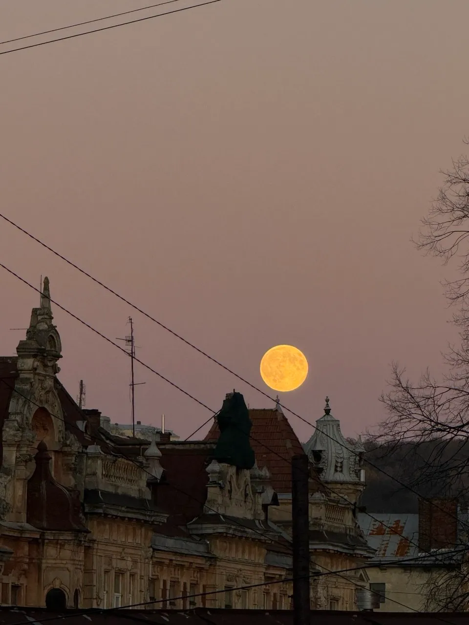 Супермісяць зійшов над Львовом