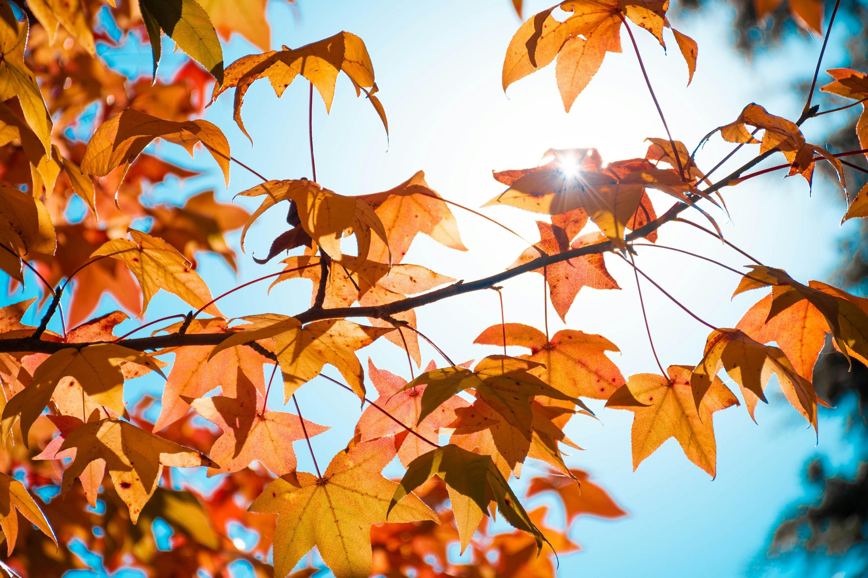 В Україні можливе незначне потепління - 24 Канал В Україні можливе незначне потепління - 24 Канал