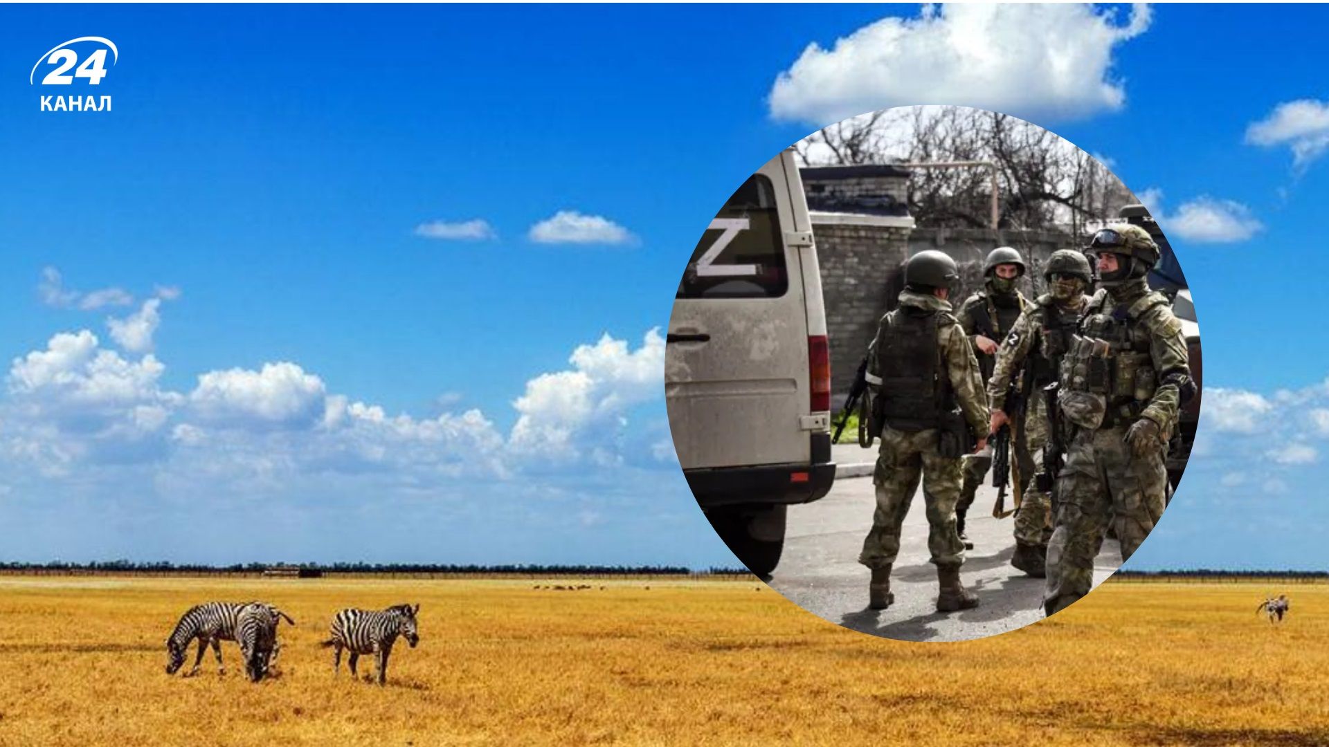 Россияне фактически уничтожили Кинбурнскую косу и "Асканию-Нову", – Плетенчук - 24 Канал