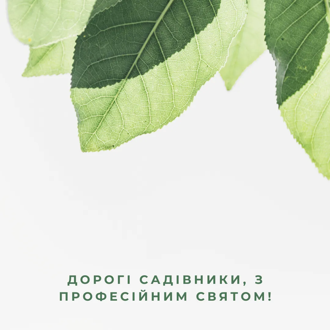 День виноградарей, виноделов и садоводов Украины