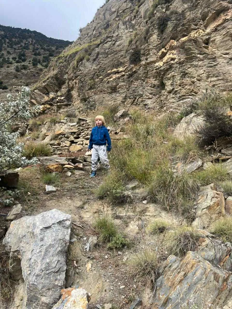 Арсен Дубовенко Арсен Дубовенко