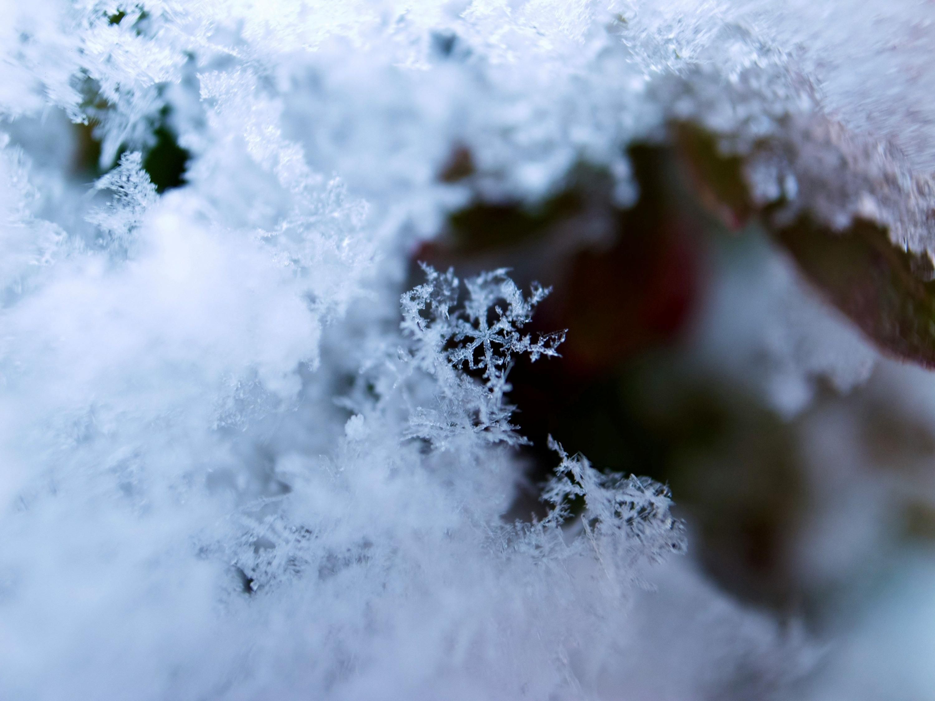 Морози в Україні у листопаді - 24 Канал Морози в Україні у листопаді - 24 Канал