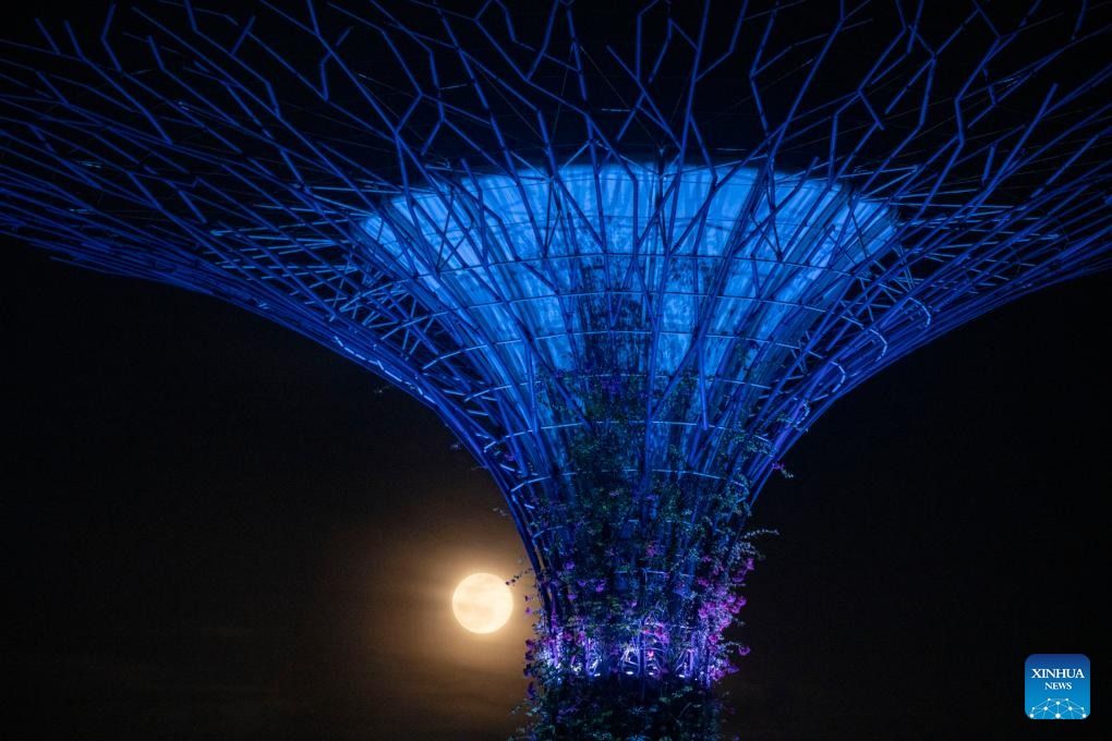 Повний місяць над Садами біля затоки в Сінгапурі, 5 листопада 2025 року