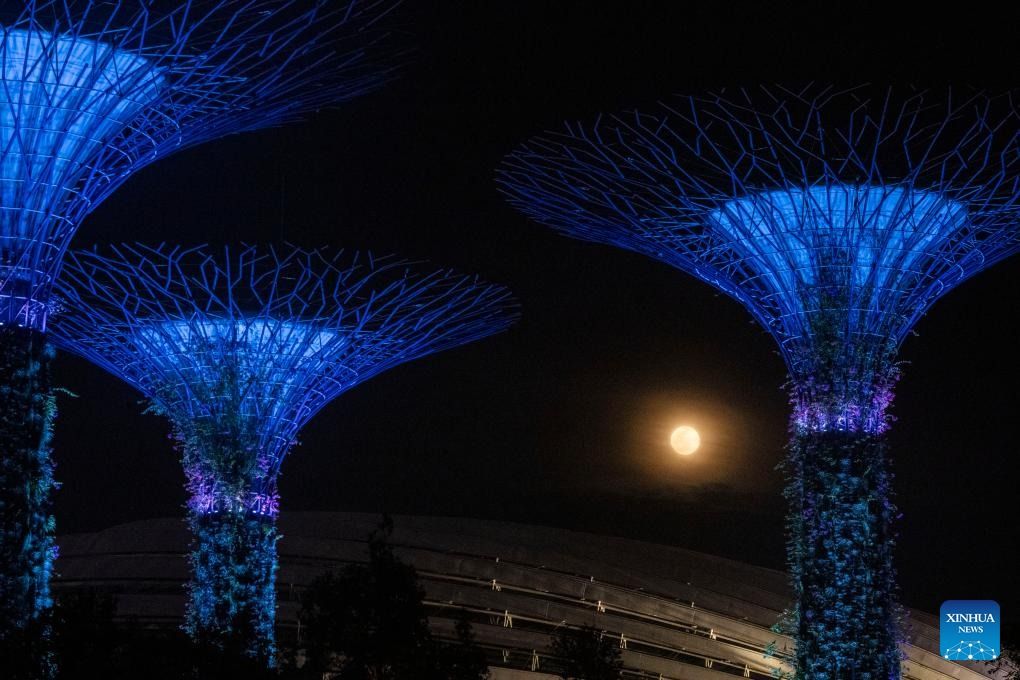 Повний місяць над Садами біля затоки в Сінгапурі, 5 листопада 2025 року