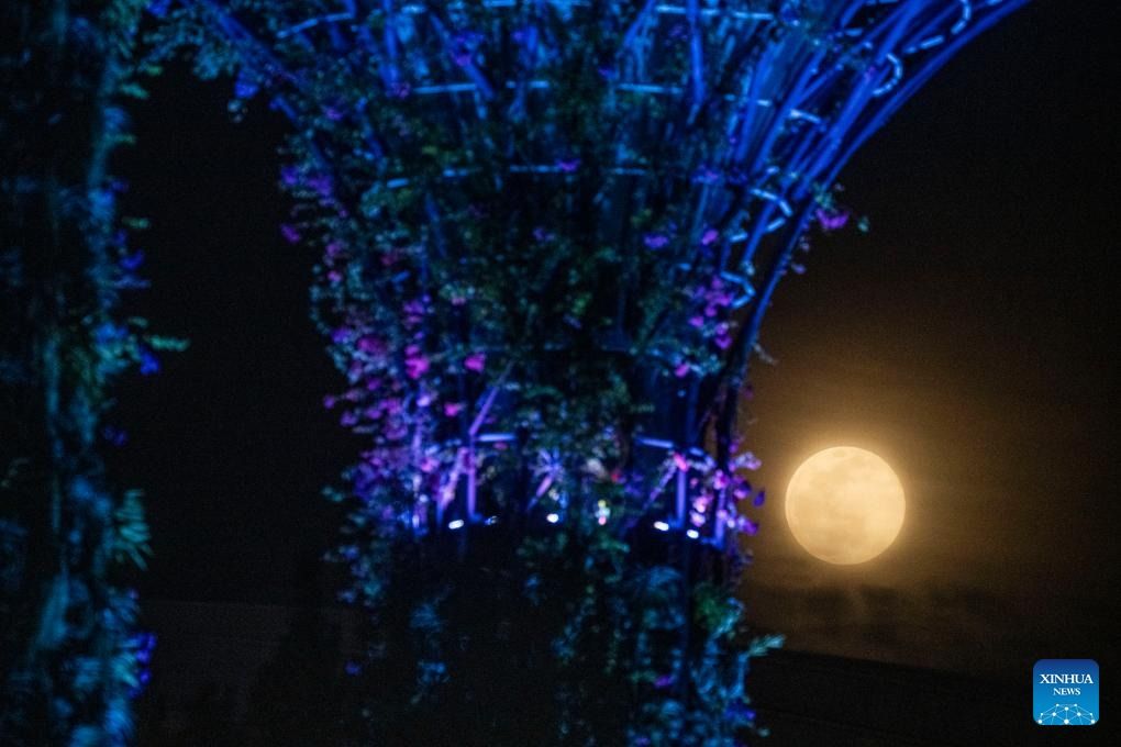 Повний місяць над Садами біля затоки в Сінгапурі, 5 листопада 2025 року