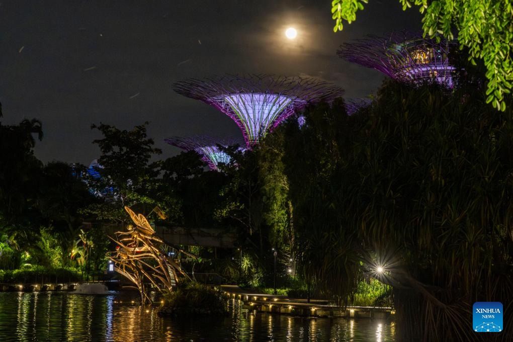 Повний місяць над Садами біля затоки в Сінгапурі, 5 листопада 2025 року