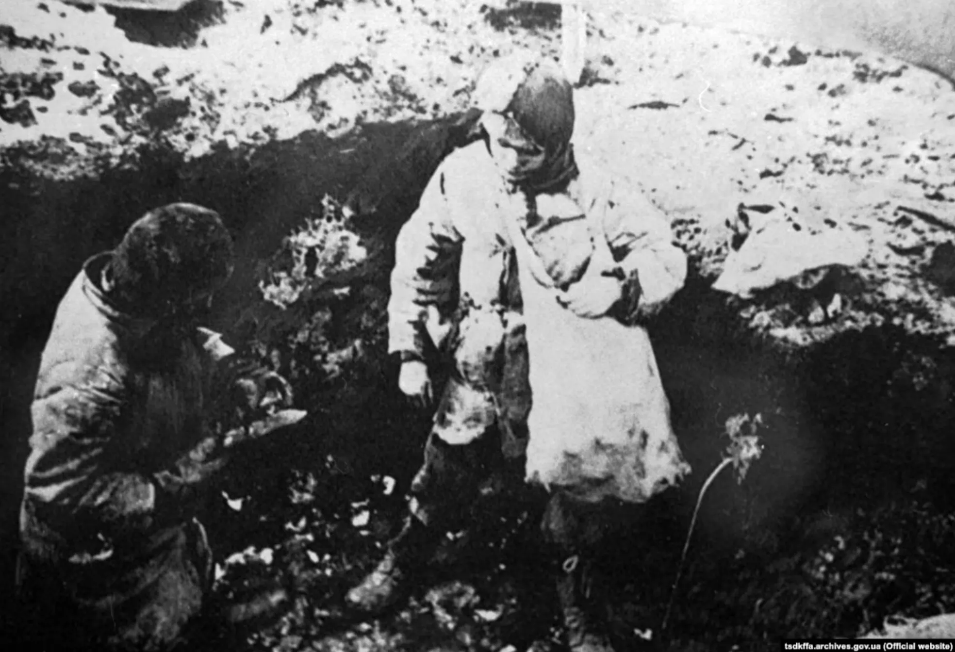 Голодные дети ищут еду