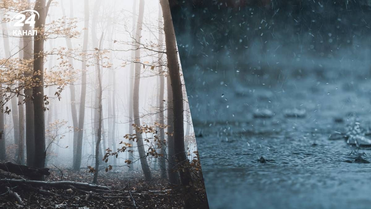 Прогноз погоды на 9 ноября 2025 года - 24 Канал Прогноз погоды на 9 ноября 2025 года - 24 Канал