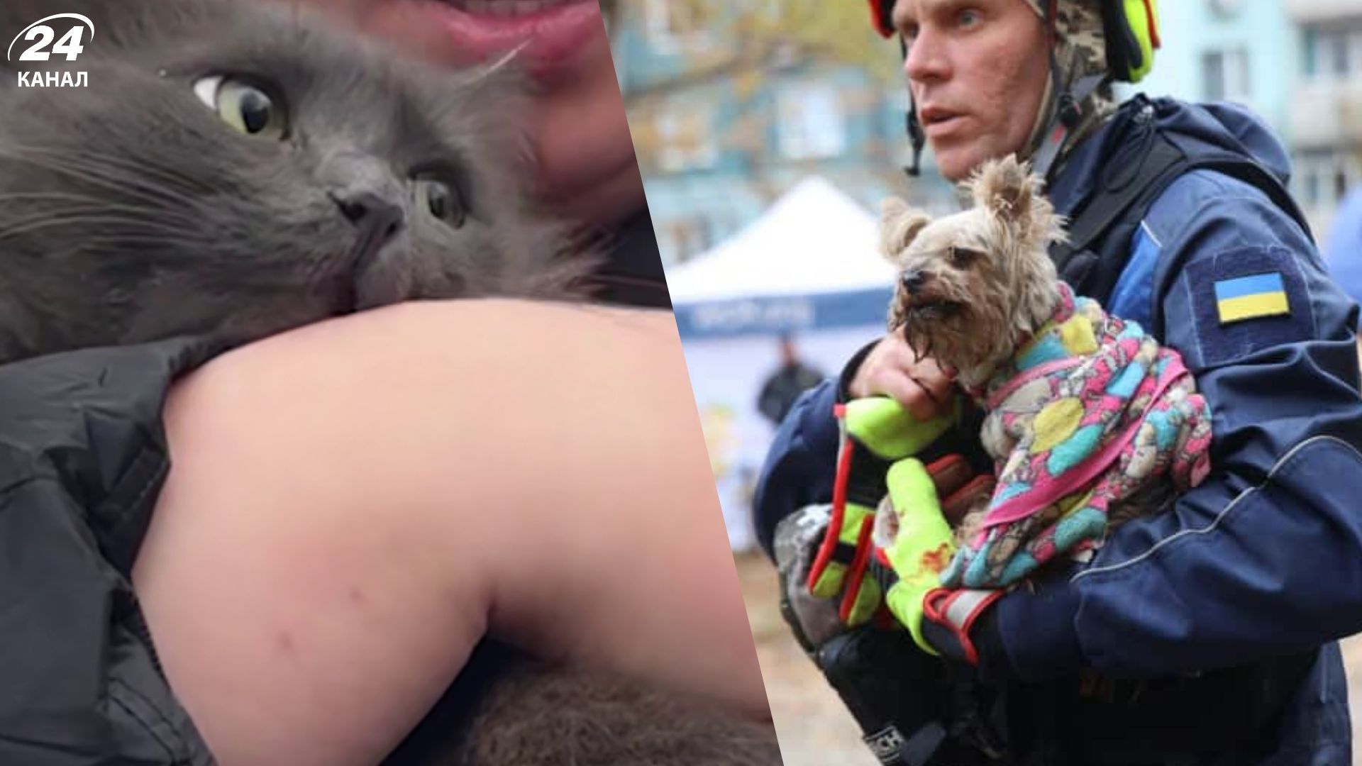 Рятувальники дістали з-під завалів у Дніпрі собаку і кішку: у якому вони стані - 24 Канал Рятувальники дістали з-під завалів у Дніпрі собаку і кішку: у якому вони стані - 24 Канал