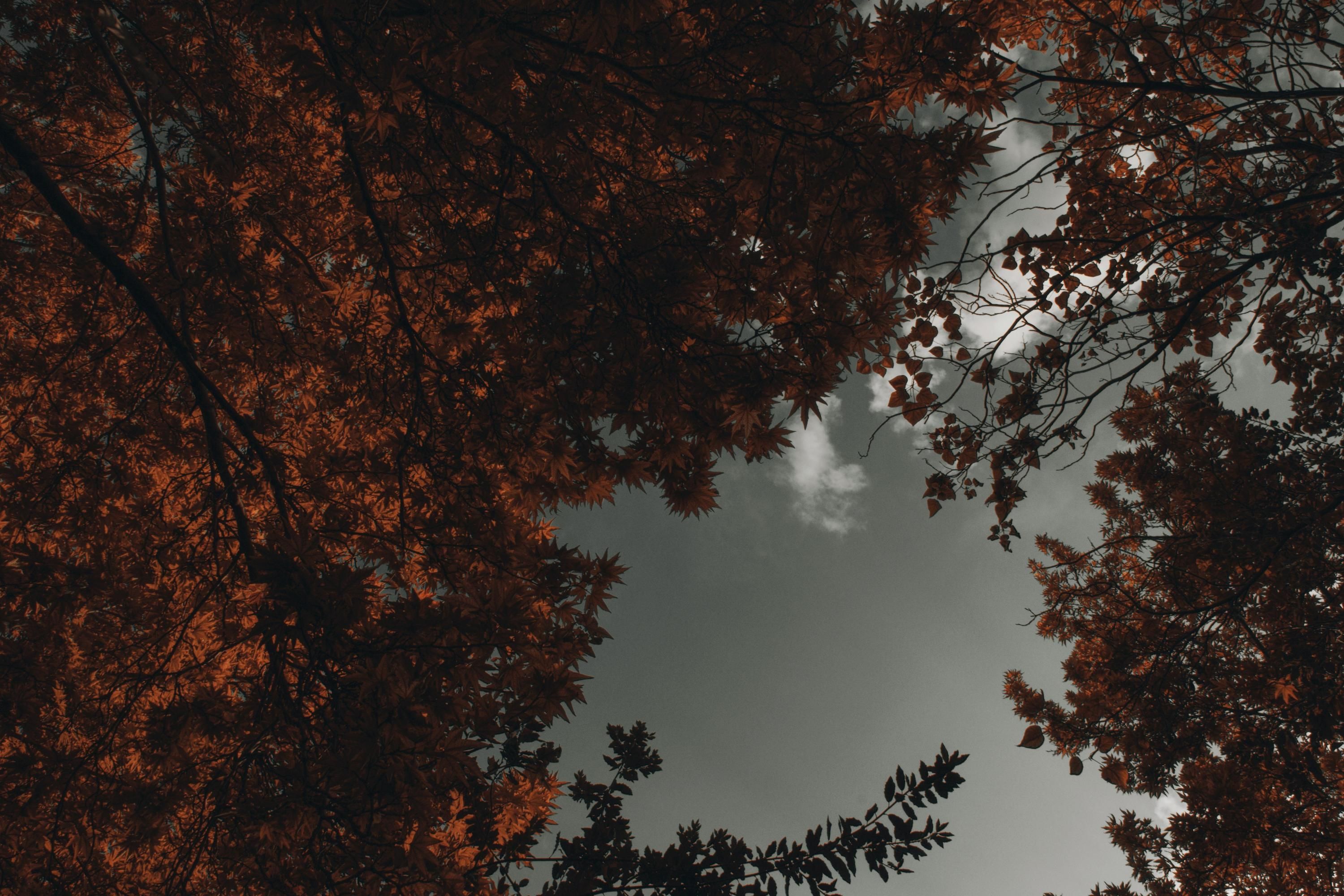 В Україну насувається похолодання - 24 Канал