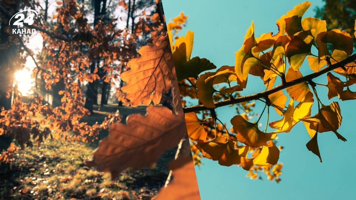 Потепління в Україні - 24 Канал Потепління в Україні - 24 Канал