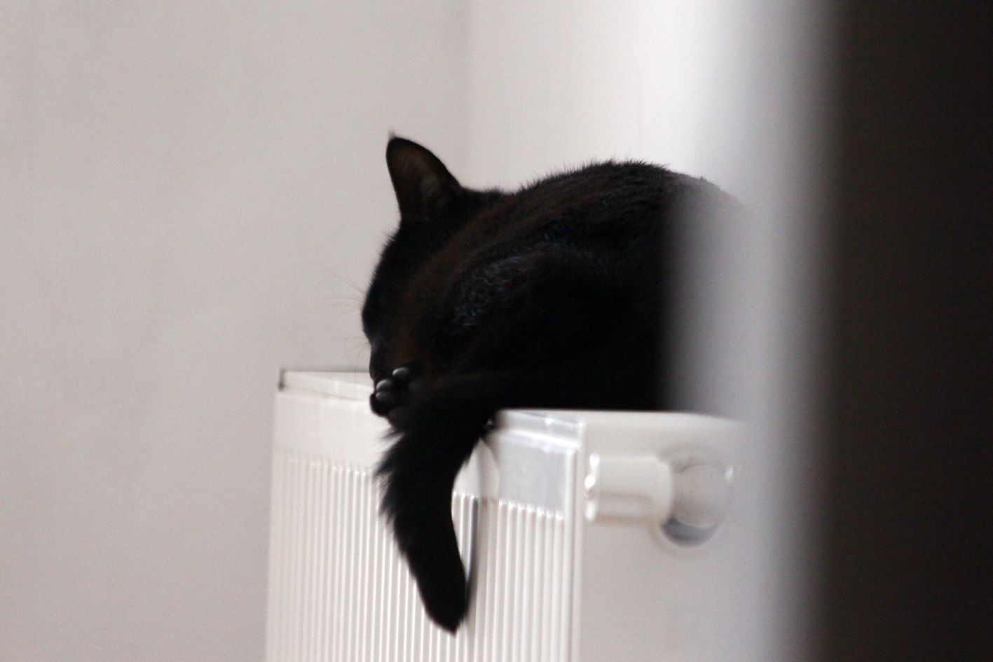 В Одессе стартует отопительный сезон: кто первым получит тепло - Экономика В Одессе стартует отопительный сезон: кто первым получит тепло - Экономика