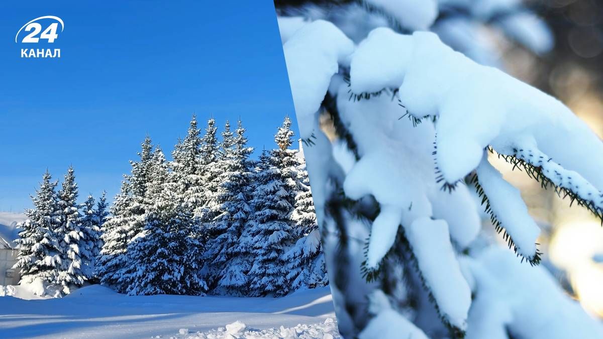 Чи можлива в Україні арктична зима - 24 Канал