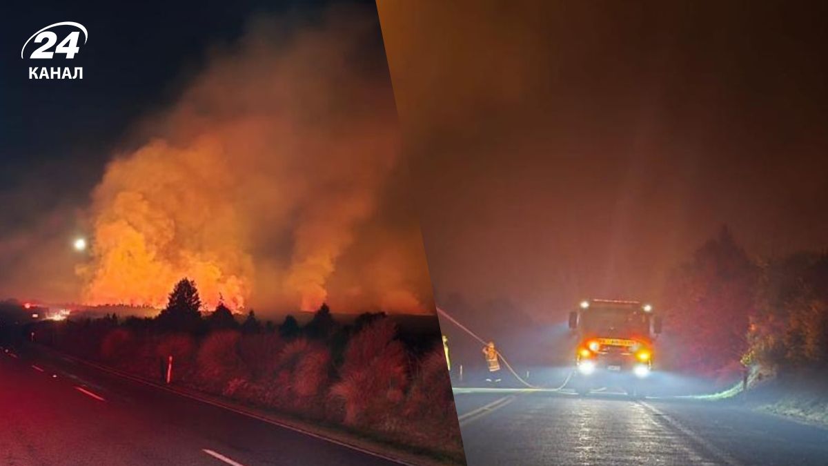У національному парку Нової Зеландії спалахнула пожежа
