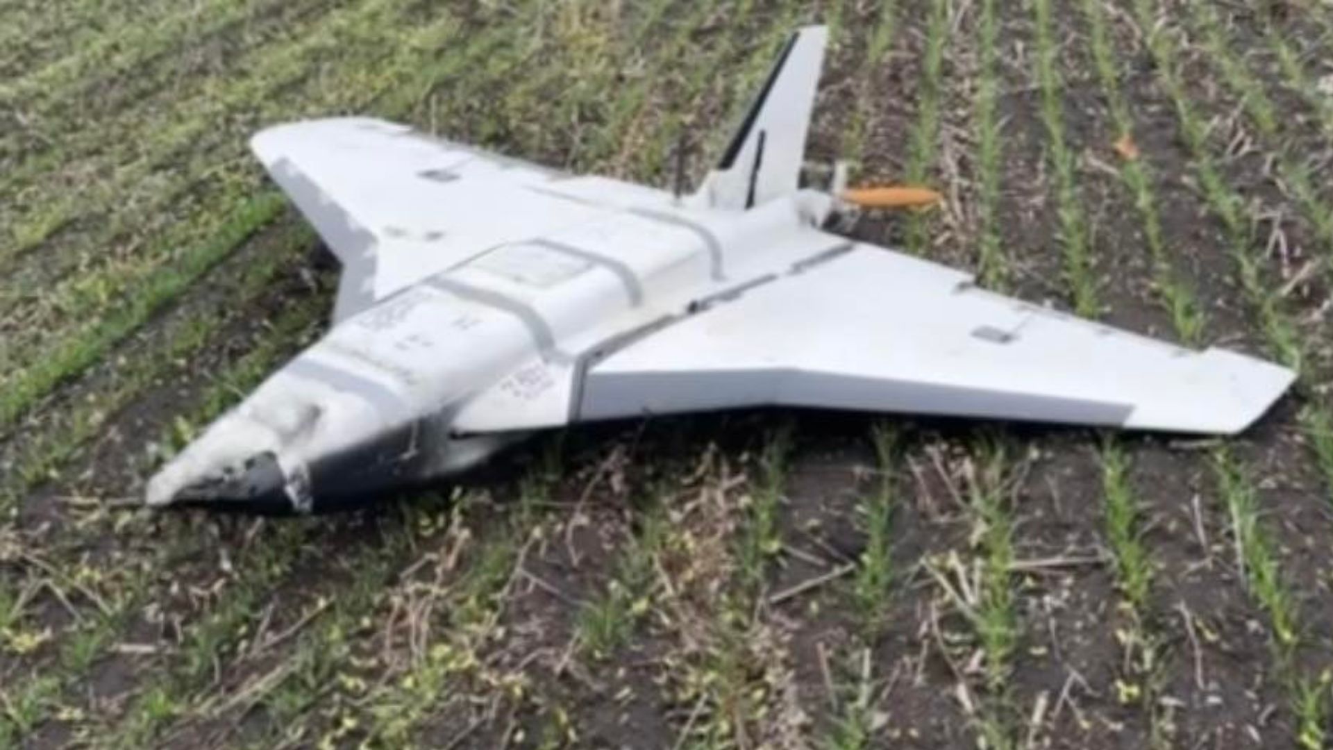 Ворожий дрон "Гербера"