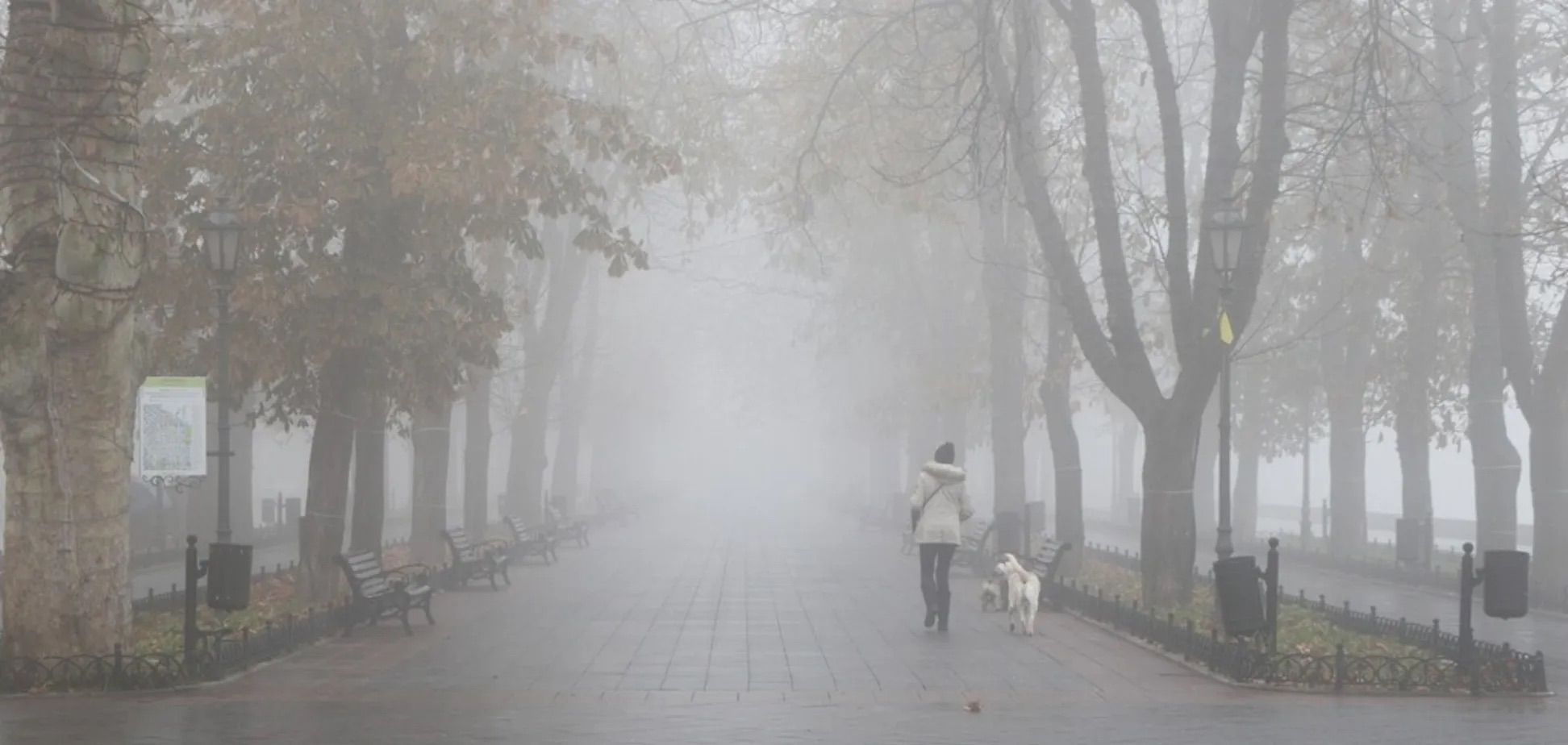 Будет ли в Одессе еще туман