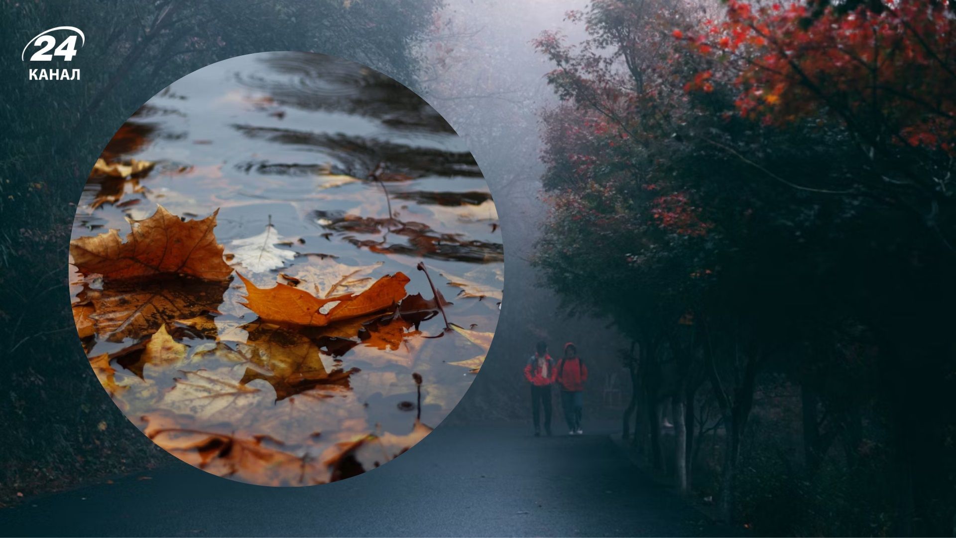 Ухудшение погоды 11 ноября - 24 Канал Ухудшение погоды 11 ноября - 24 Канал