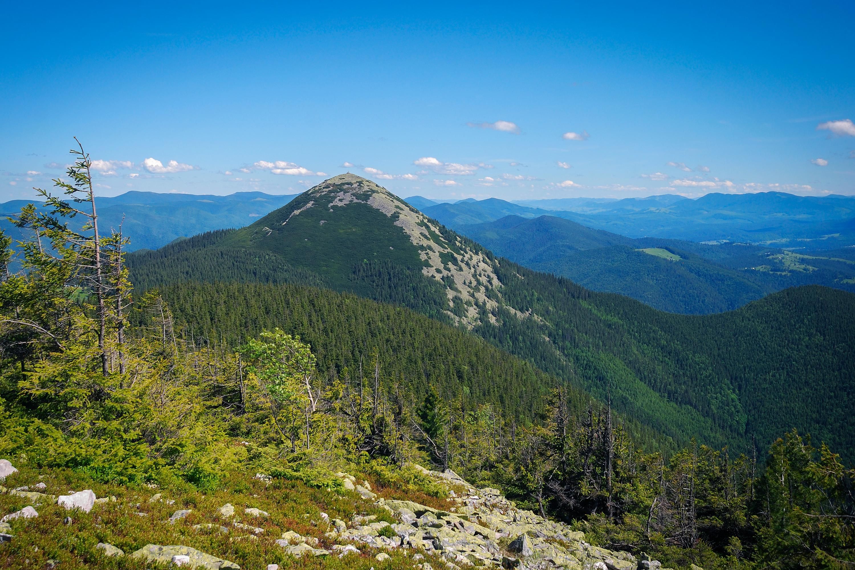 чому гора хом'як має таку назву - Тренди чому гора хом'як має таку назву - Тренди