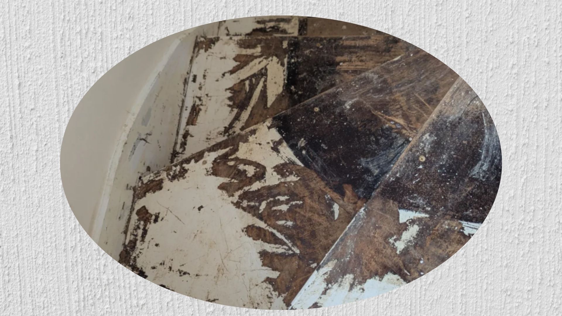 Чоловік лишень хотів перефарбувати сходи, а отримав купу проблем