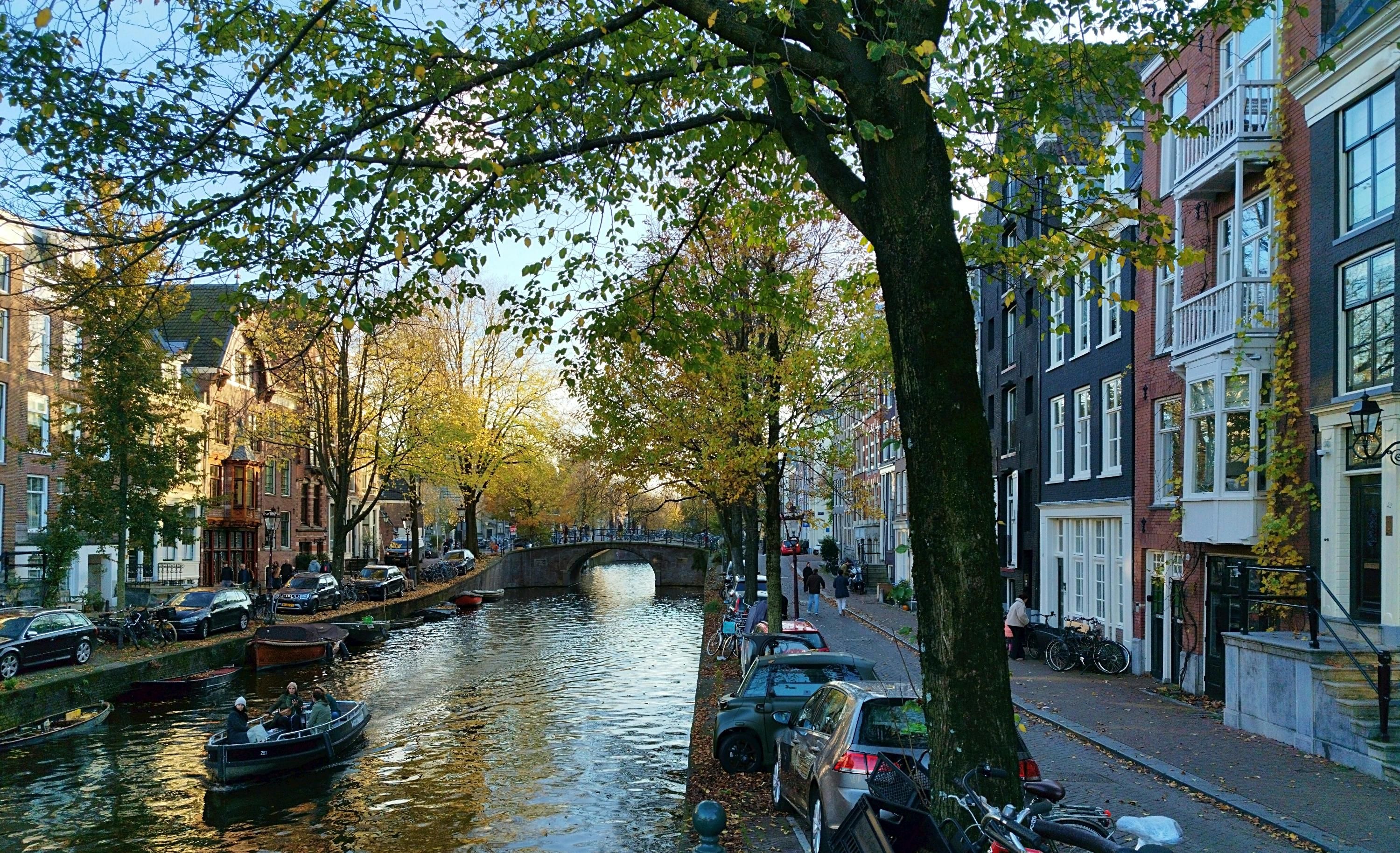 Ніделрланди продовжать посилений контроль на кордонах