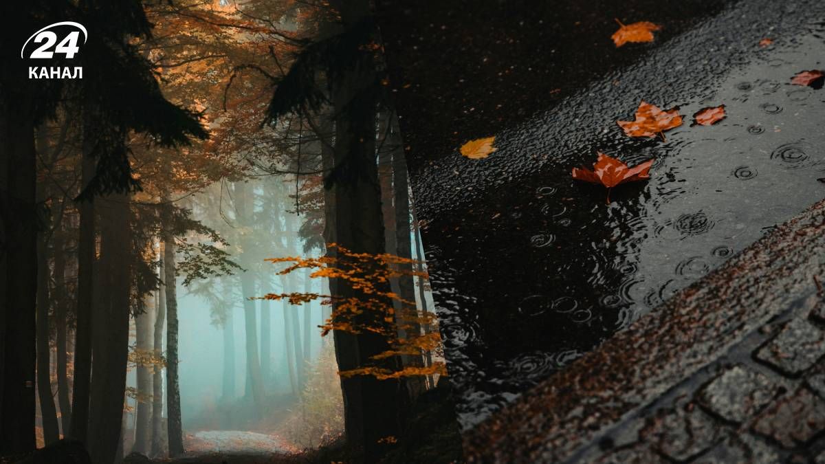 Когда в Украине закончатся дожди - 24 Канал Когда в Украине закончатся дожди - 24 Канал