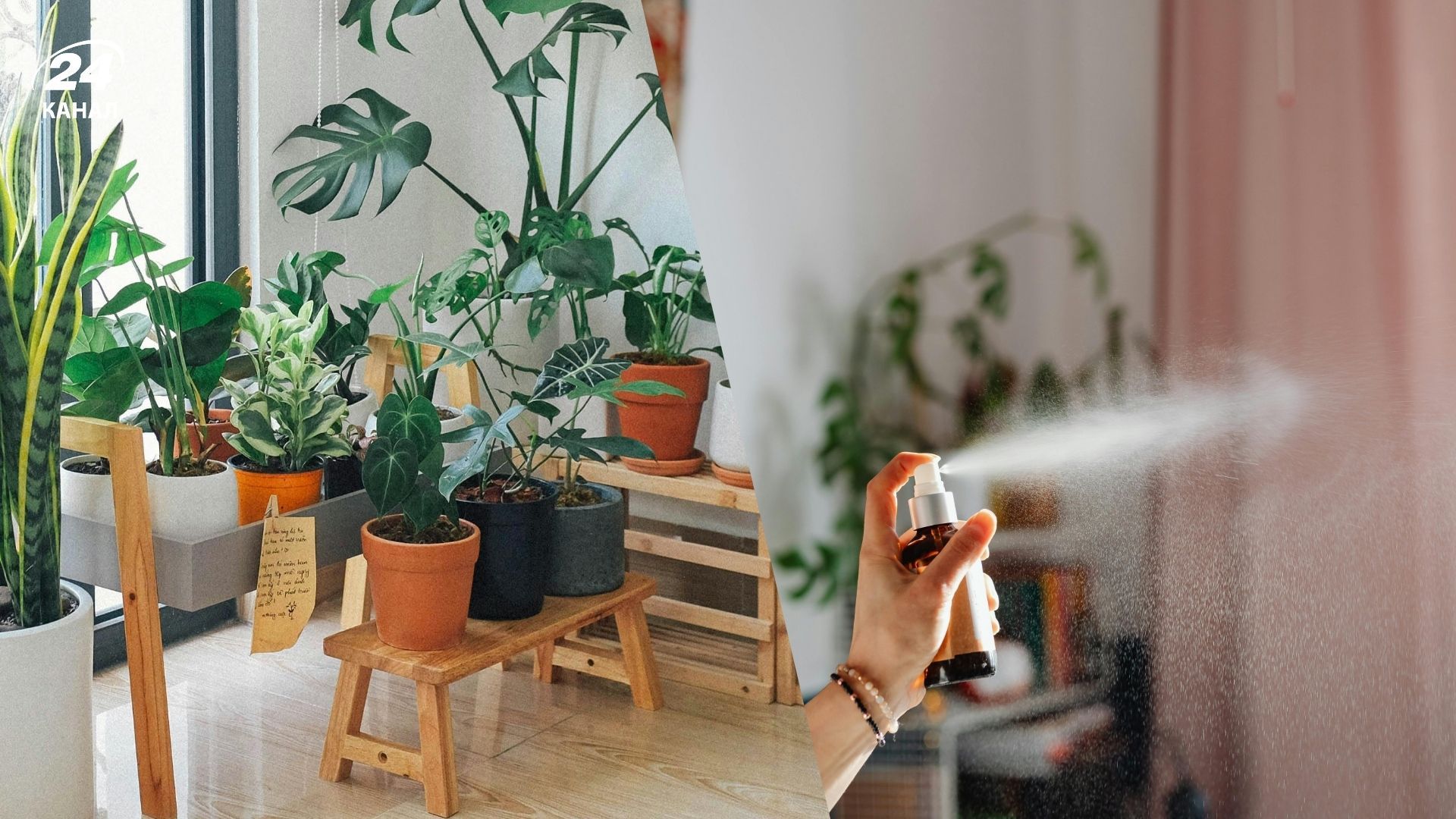 Зволожити повітря вдома можна за допомогою підручних засобів Зволожити повітря вдома можна за допомогою підручних засобів