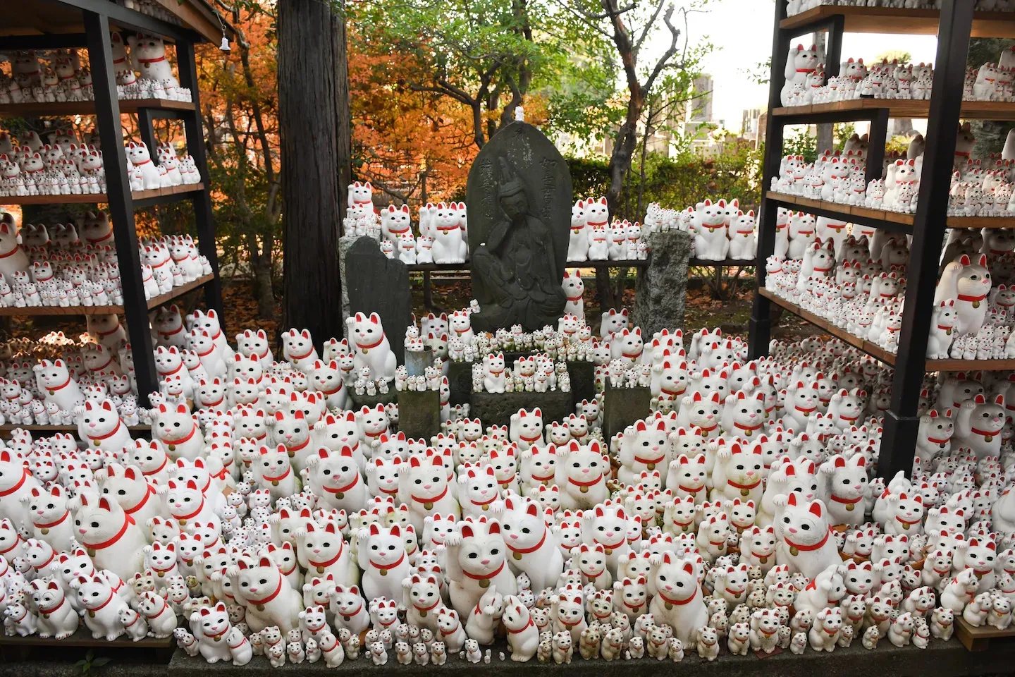 Котячий храм у Японії / фото Live Japane Perfect Guide