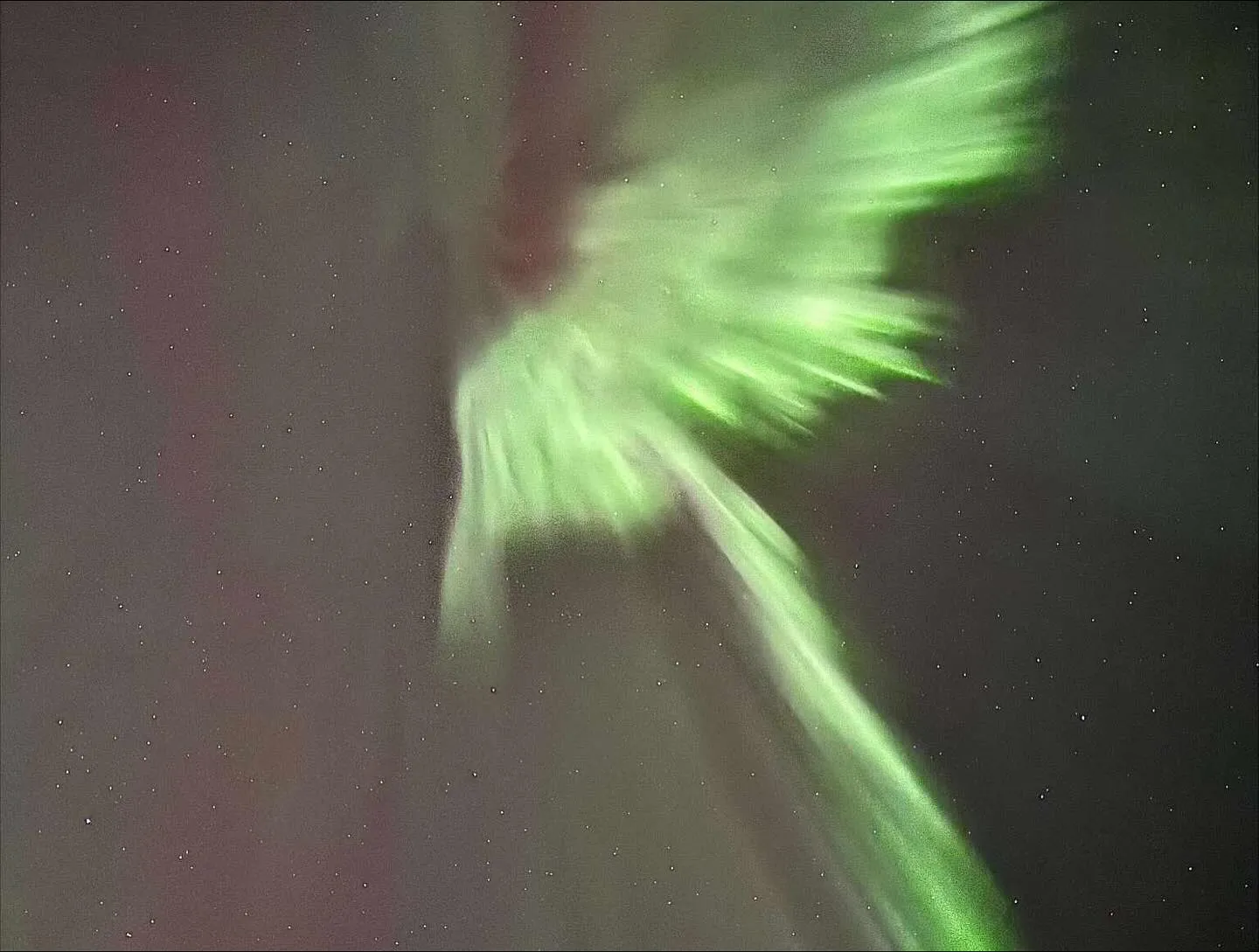 Полярное сияние похоже на огромную птицу