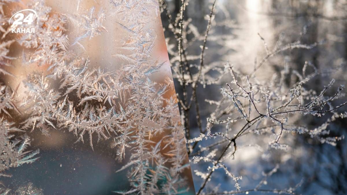 Рання зима в Україні - 24 Канал Рання зима в Україні - 24 Канал