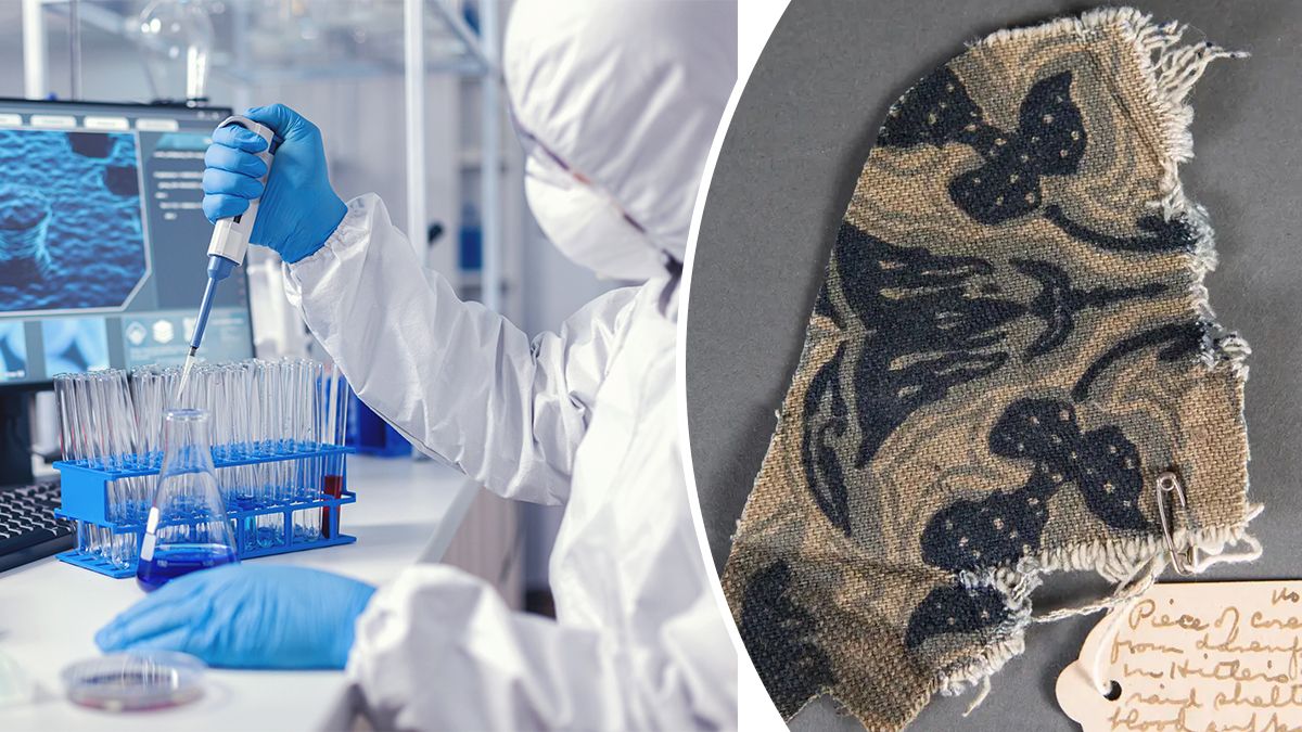 ДНК Адольфа Гітлера показує генетичні захворювання і спростовує теорії про походження