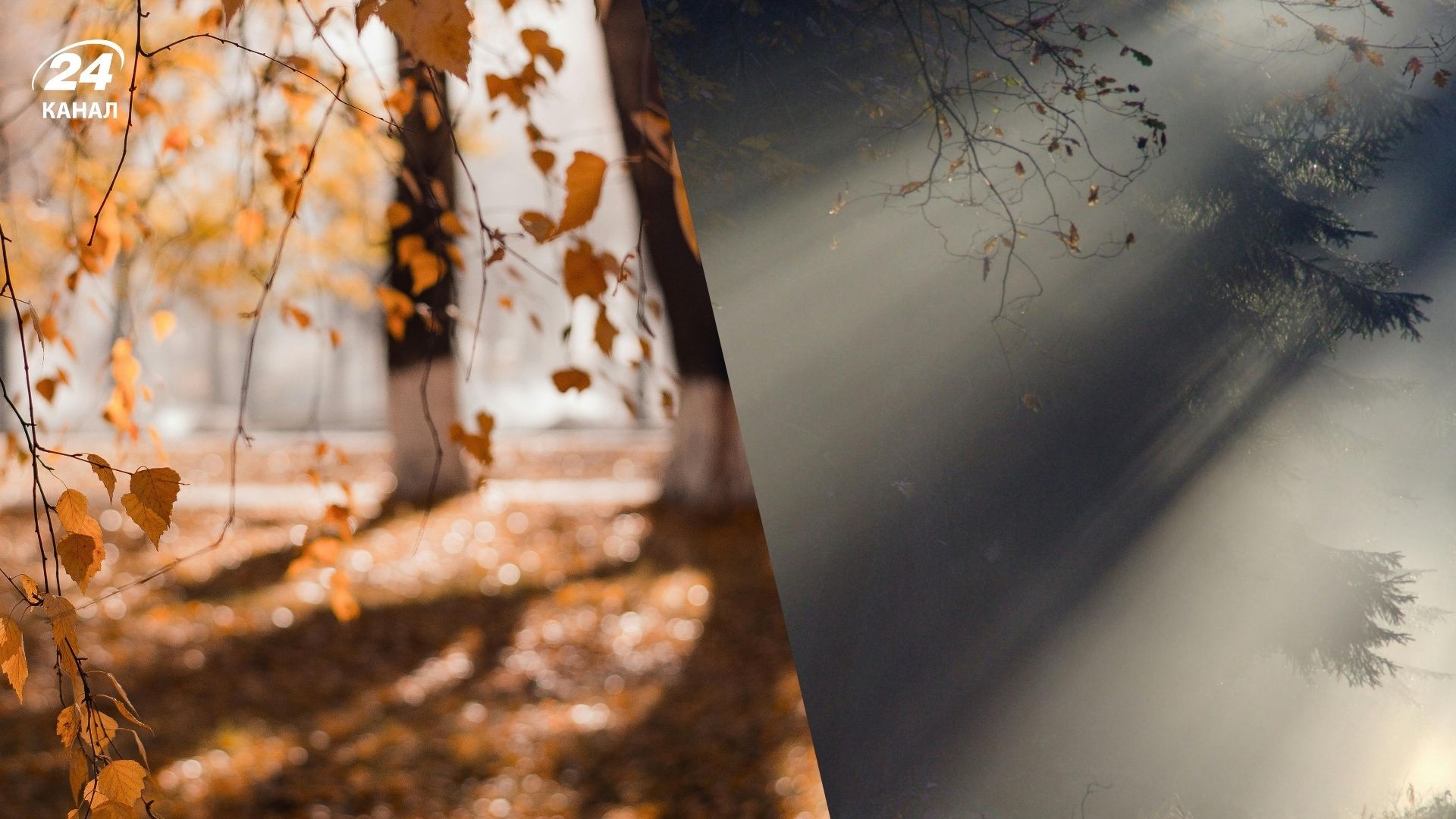 Погода 15 ноября 2025 год Погода 15 ноября 2025 год