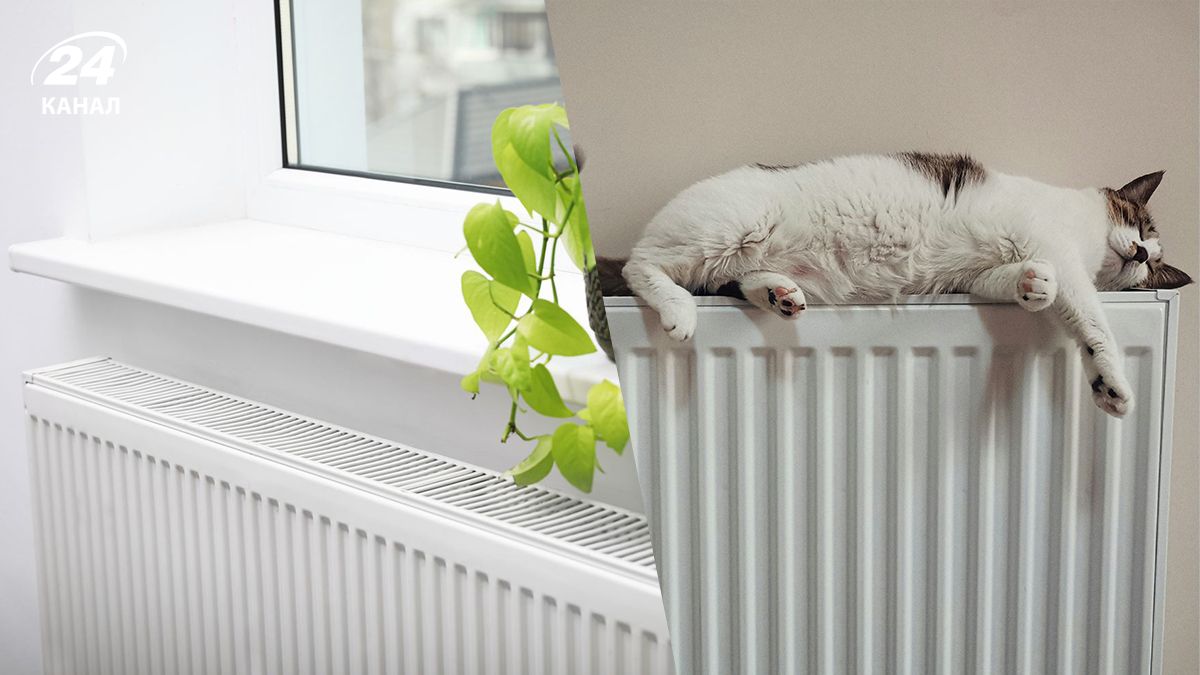 Чим можна вигідно обігріти оселю, крім дров - практичні способи Чим можна вигідно обігріти оселю, крім дров - практичні способи