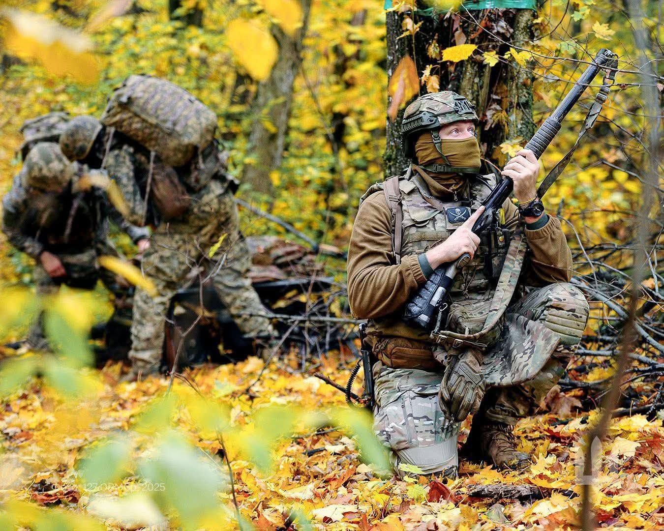 Карта фронта 15 ноября - 24 Канал Карта фронта 15 ноября - 24 Канал