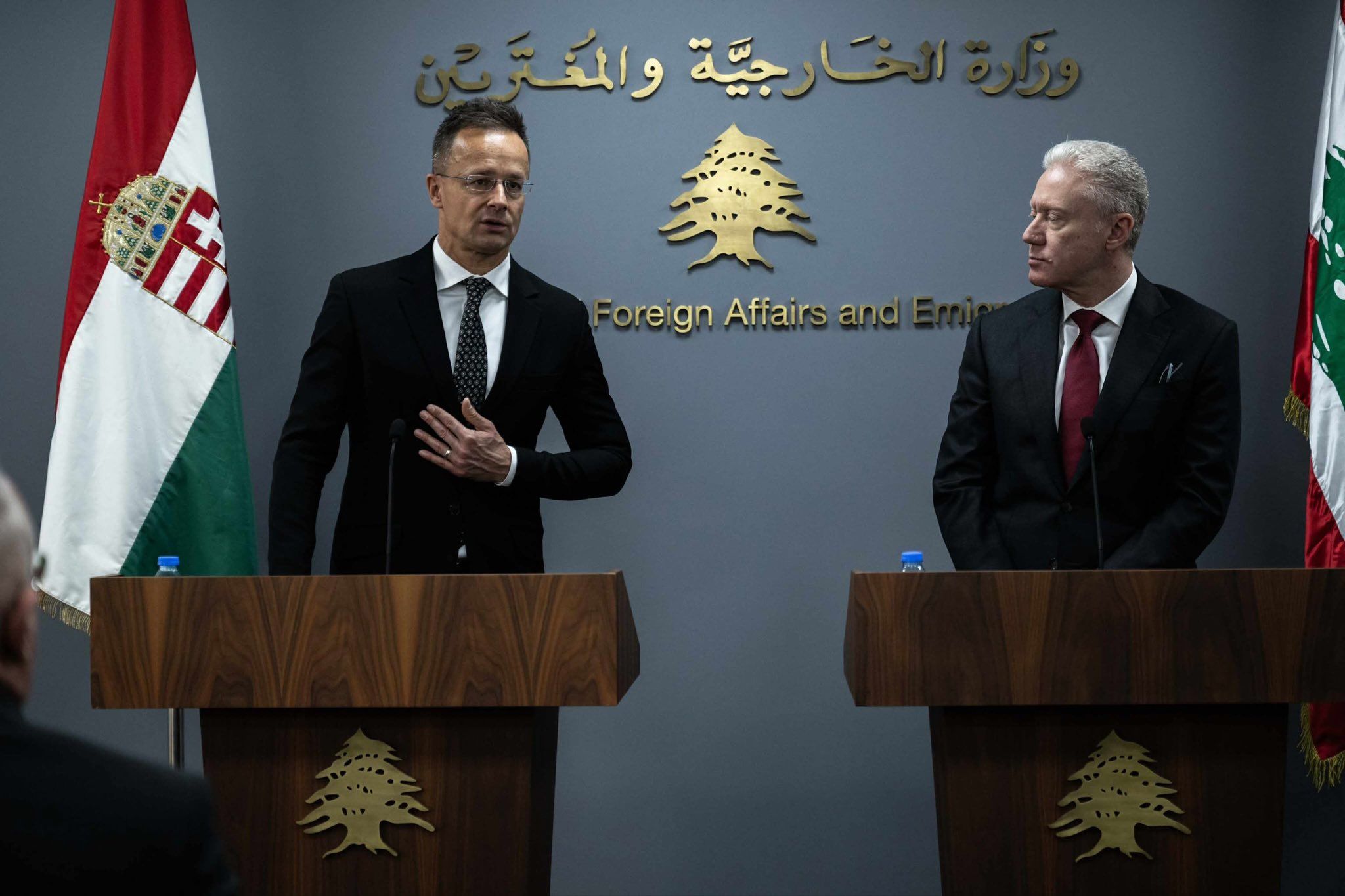 Венгрия будет финансировать армию Ливана Венгрия будет финансировать армию Ливана