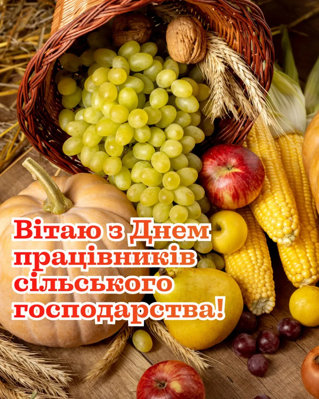 Поздравления с Днем работников сельского хозяйства 2025 Поздравления с Днем работников сельского хозяйства 2025
