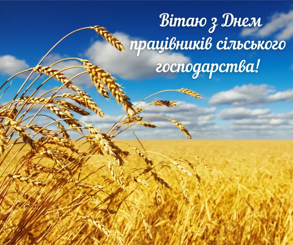 Поздравления с Днем работников сельского хозяйства 2025 Поздравления с Днем работников сельского хозяйства 2025