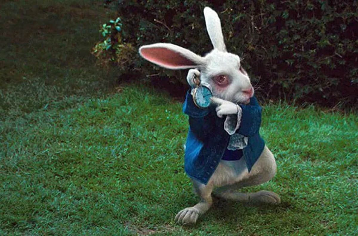 кролик - Тренди