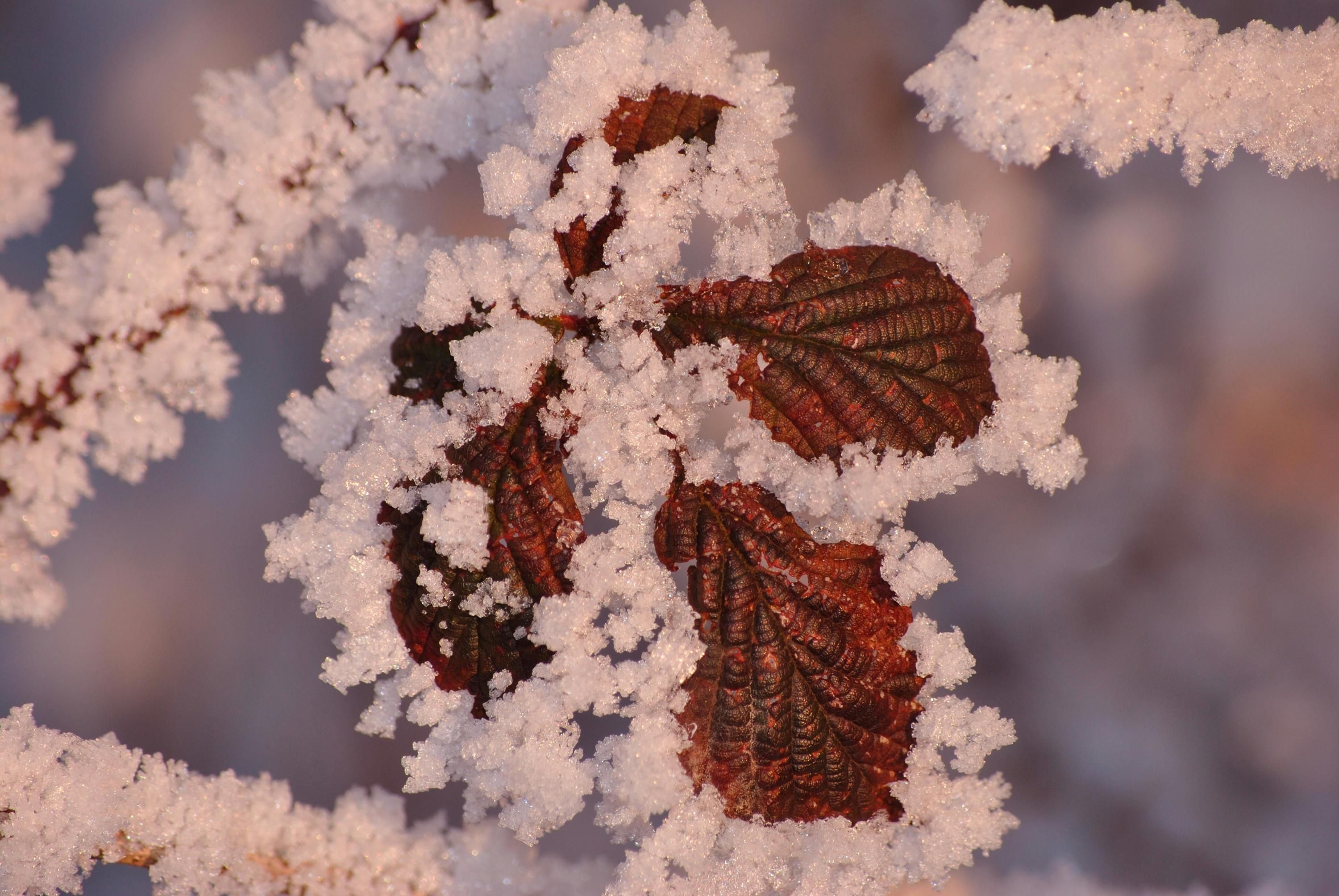 Прогноз погоди в Україні на 16 листопада 2025 року - 24 Канал Прогноз погоди в Україні на 16 листопада 2025 року - 24 Канал