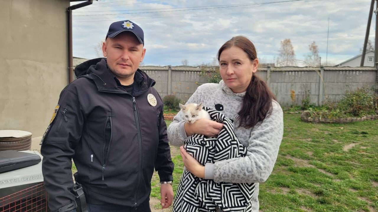 Суд конфисковал котенка за жестокое обращение хозяев за жестокое обращение Суд конфисковал котенка за жестокое обращение хозяев за жестокое обращение