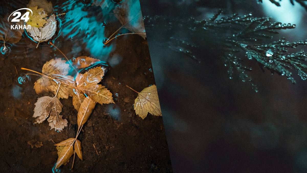 Прогноз погоды в Украине на неделю - 24 Канал