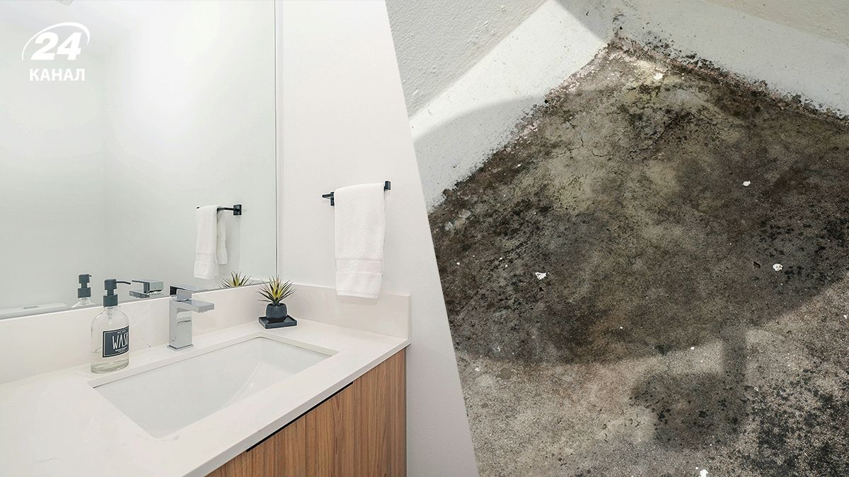 Через які помилки у ванній кімнаті виникає цвіль