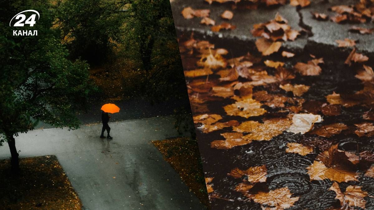 Дощ в Україні - 24 Канал Дощ в Україні - 24 Канал