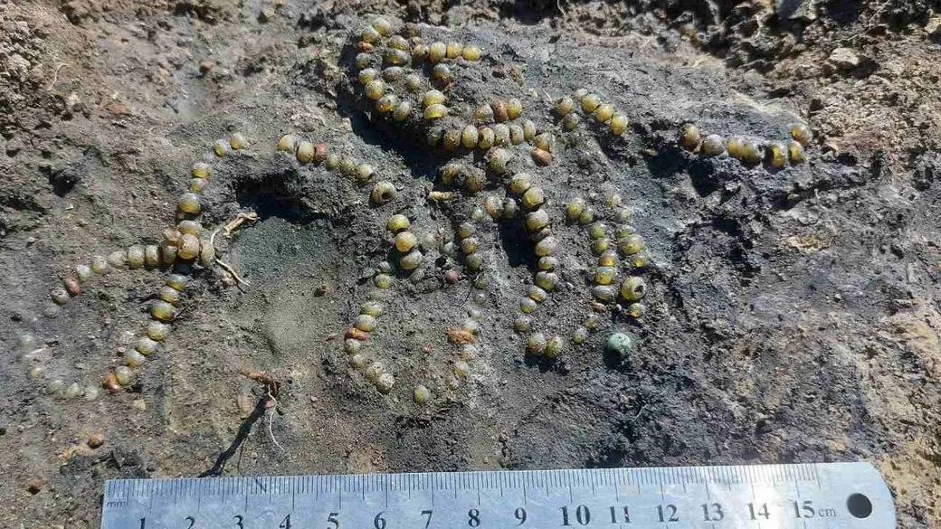 Древнерусское ожерелье Волынь неизвестные археологические находки Украина Древнерусское ожерелье Волынь неизвестные археологические находки Украина