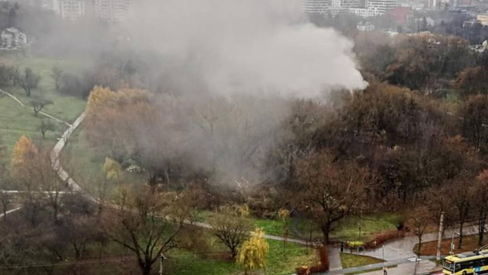 Парк 700-річчя у Львові затягнуло димом через пожежу: що там сталося - 24 Канал