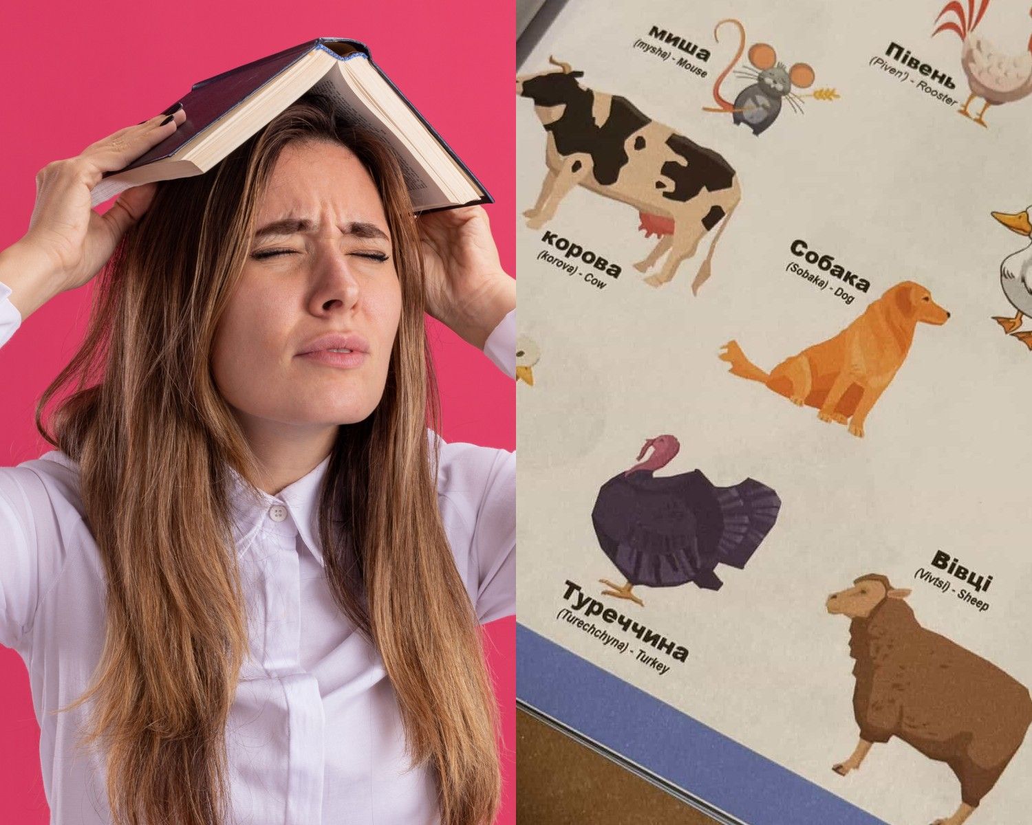 Навчання українців за кордоном - українка показала цікаві помилки в іноземному посібнику Навчання українців за кордоном - українка показала цікаві помилки в іноземному посібнику